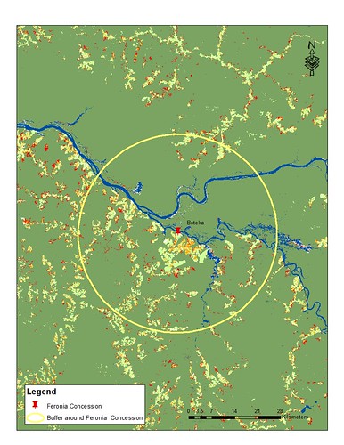 Boteka plantation with buffer