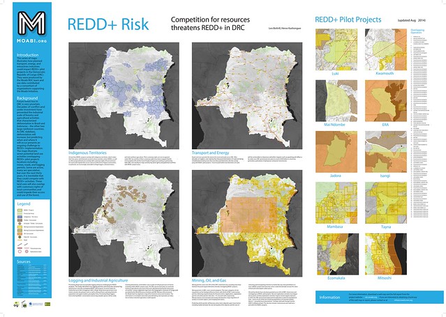 The REDD+ Potential Risks Poster